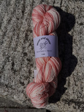 Load image into Gallery viewer, Wool and Moor Hand Dyed in Devon 4ply 100g
