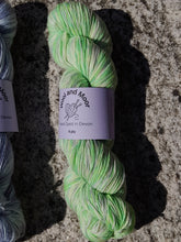 Load image into Gallery viewer, Wool and Moor Hand Dyed in Devon 4ply 100g
