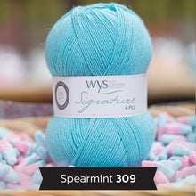 Load image into Gallery viewer, WYS Signature 4ply - Sweet Shop Range 100g
