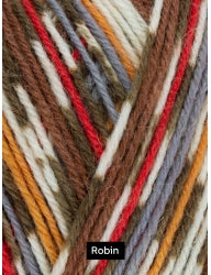WYS Signature 4ply - Country Birds 100g