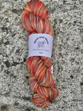 Load image into Gallery viewer, Wool and Moor Hand Dyed in Devon 4ply Sock Yarn 100g
