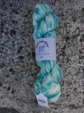 Load image into Gallery viewer, Wool and Moor Hand Dyed in Devon Superwash Lace Yarn 100g
