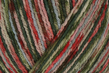 Load image into Gallery viewer, Regia Colours of the World Cotton 4ply
