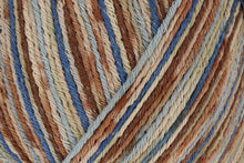 Load image into Gallery viewer, Regia Colours of the World Cotton 4ply
