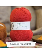 Load image into Gallery viewer, WYS Signature 4ply - Spice Rack Range 100g

