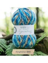 Load image into Gallery viewer, WYS Signature 4ply - Country Birds 100g
