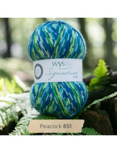 Load image into Gallery viewer, WYS Signature 4ply - Country Birds 100g

