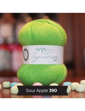 Load image into Gallery viewer, WYS Signature 4ply - Sweet Shop Range 100g
