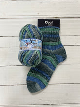 Load image into Gallery viewer, Opal X-Large Wilder Winter 8ply 150g
