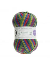 Load image into Gallery viewer, WYS Signature 4ply - Winwick Mum 100g
