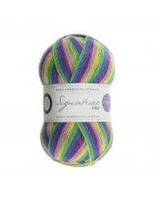 Load image into Gallery viewer, WYS Signature 4ply - Winwick Mum 100g
